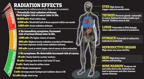 syndrome d irradiation aiguë survivre à la nature