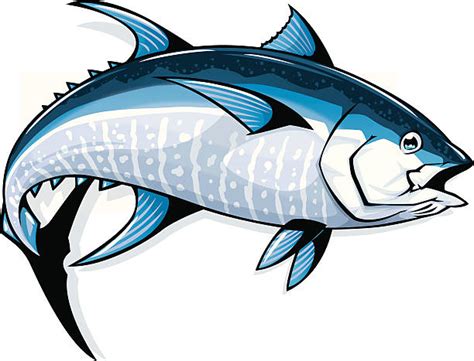 Bluefin Tuna Illustrations Royalty Free Vector Graphics And Clip Art