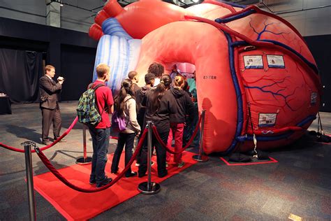 Giant Walk Through Inflatable Heart For Health Fair The Mega Heart