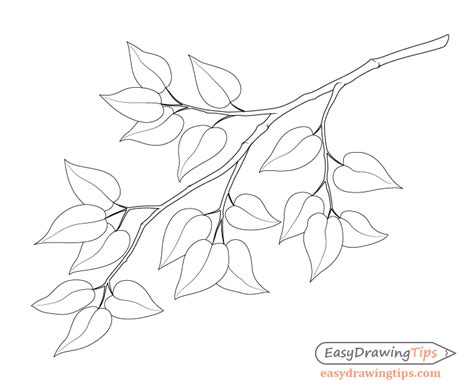 How To Draw A Tree Branch With Leaves Easydrawingtips