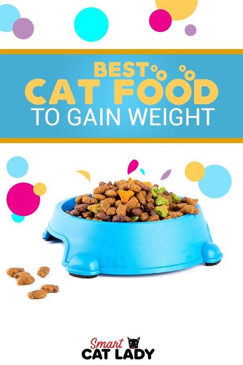 Tips for helping a cat gain weight. Best Cat Food to Gain Weight with High Calories | Best cat ...