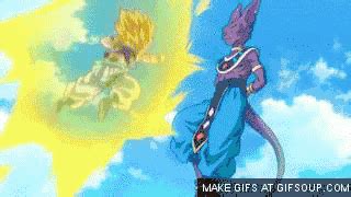 # gif# beerus# bulma# dragon ball super# this scene is just too hilarious# vegeta# vegeta getting super nervous when bulma approaches them#whis. Beerus:The God of Destruction | Wiki | Anime Amino