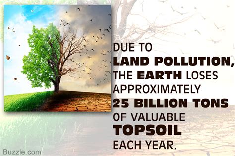Causes And Effects Of Land Pollution Youre Probably Undervaluing