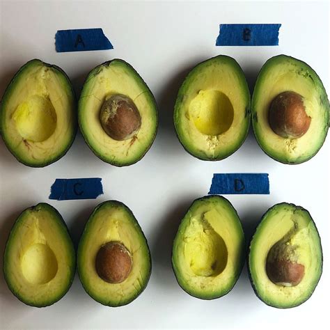 A 15 Minute Avocado Ripening Hack—and 3 Other Tricks How To Ripen