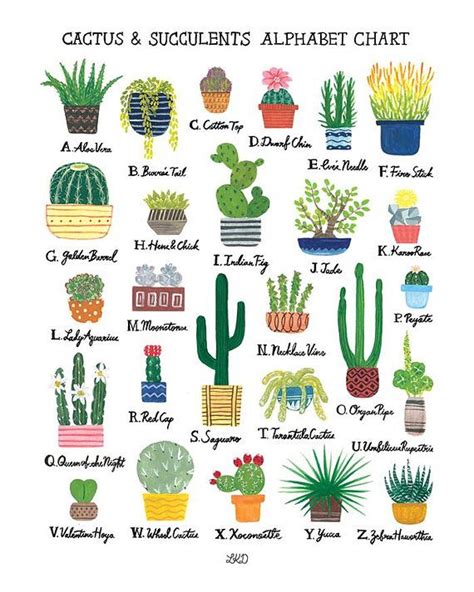 A way to tell cacti apart from other desert plants is to look at their flowers. Cactus & Succulents Alphabet Chart Art Print | Cactus ...