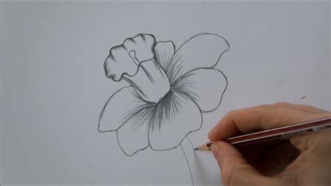 How To Draw A Realistic Flower Easy Just Add Some Color And You Have