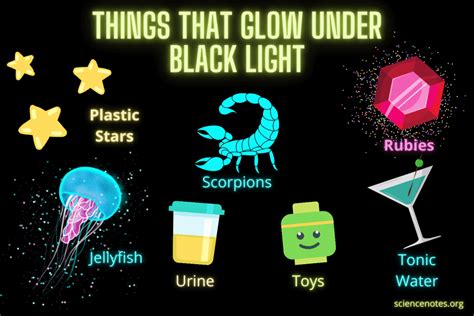 List Of Things That Glow Under Black Light