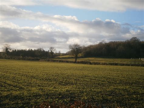 Free Images Landscape Tree Nature Outdoor Horizon Marsh