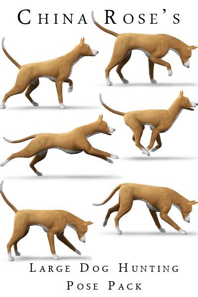 89 Dog Poses Sims Ideas Dog Poses Sims Poses