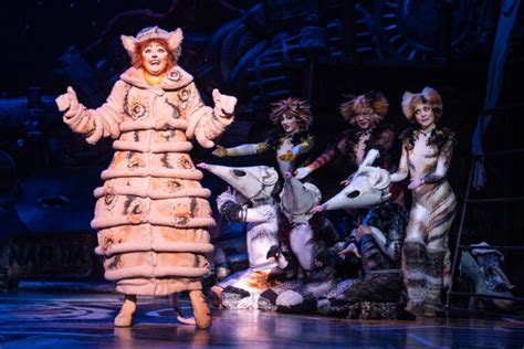 ‘cats The Musical Is A Purrfect Evening Out For Broadway Fans