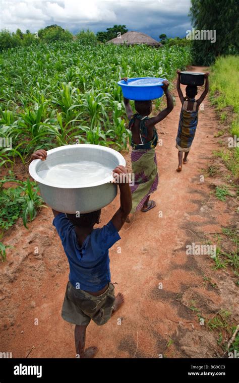 Children Carry Water On Their Heads To Their Home From A Borehole Built