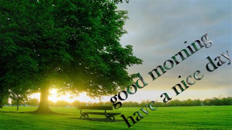 We did not find results for: Latest Good Morning images for friends - Latest images