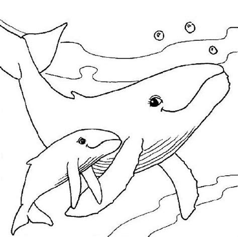 They are free and easy to print. Mom and Baby Whale on Dive Sea Animals Coloring Page | coloring pages - animals | Pinterest ...