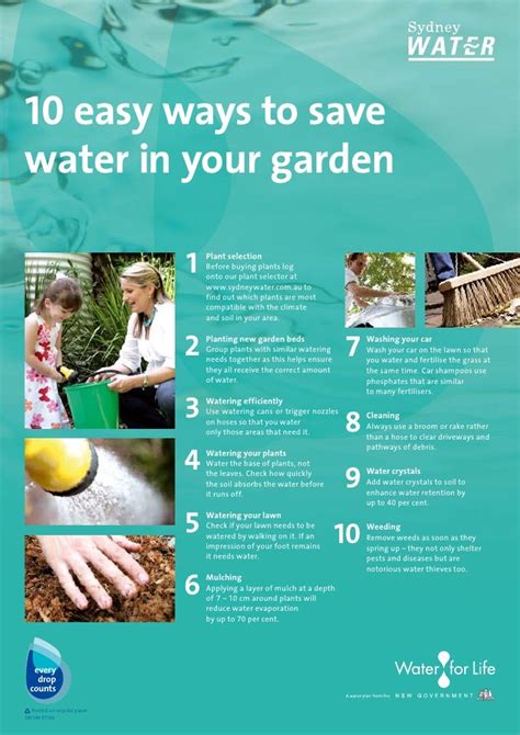 10 Easy Ways To Save Water In Your Garden