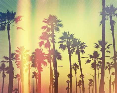 Cool California Wallpapers Top Free Cool California Backgrounds