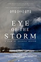 Eye of the Storm (2021) — The Movie Database (TMDb)