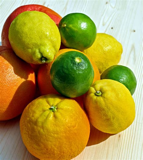 Citrus Growing Winterizing Fertilizer Pruning Varieties Outdoors