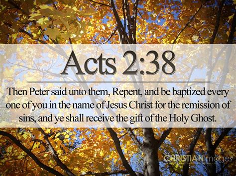 Acts 238 Then Peter Said Unto Them Repent And Be Baptized