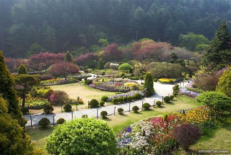 The Garden Of Morning Calm Gapyeong Korea 조경 여행 자연 그림