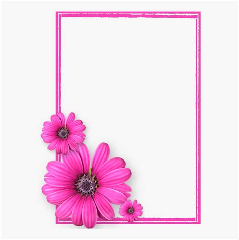 Pink Frame Png Pink Flower Frames And Borders Png Transparent Png The