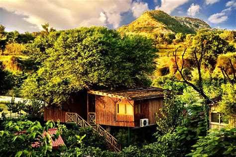 For specific enquiries, we recommend calling ahead to confirm. Top 10 Tree Houses Resorts Experience in India - Best Resorts