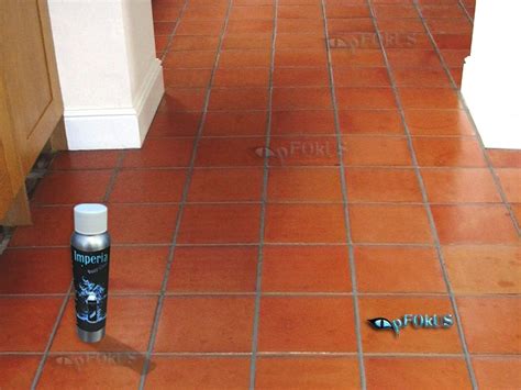 Terracotta Floor Tile Cleaning And Maintenance Pfokus