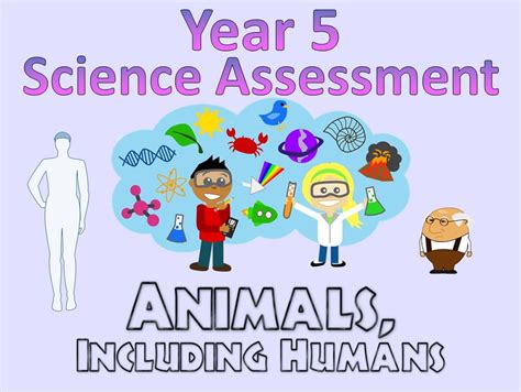 Year 5 Science Assessment Animals Including Humans Teaching Resources