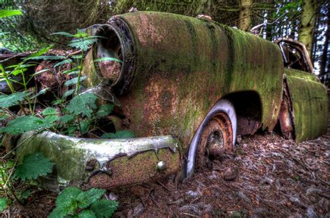 Forest Full Of Abandoned Cars Photos Abc News