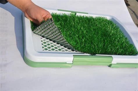 You can buy a small sample first and see if your dog likes to stay on it. Fake Grass for Dogs | Fake Grass - Artificial Grass