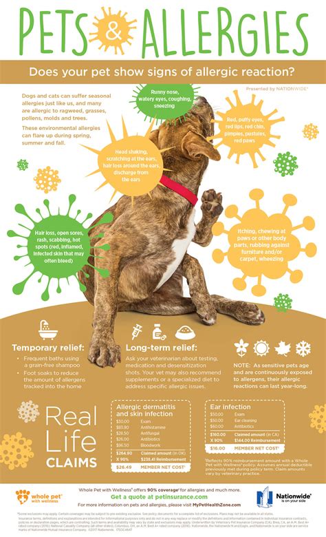 Pets And Seasonal Allergies Pet Health Insurance And Tips