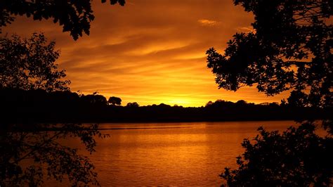 Download Wallpaper 1920x1080 Lake Sunset Trees Horizon Evening Full