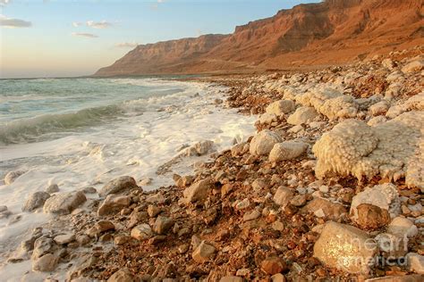 Salt Formation At The Dead Sea Photograph By Harel Stanton