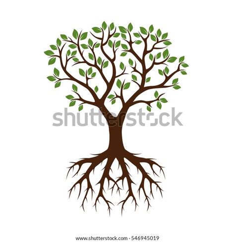 Color Tree Roots Vector Illustration Stock Vector Royalty Free 546945019