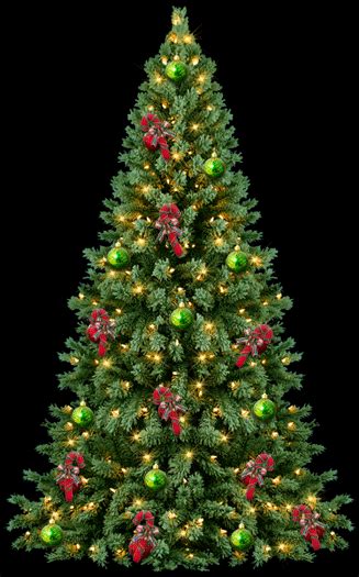Christmas tree gif transparent 12 » GIF Images Download