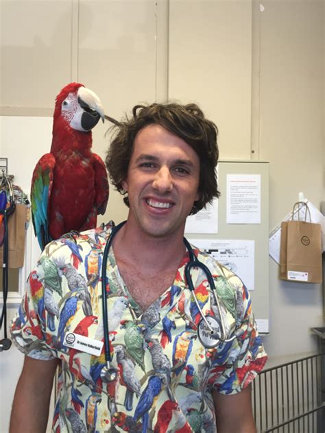 Bird Vet Perth And Melbourne Chicken Parrots Etc The Unusual Pet Vets