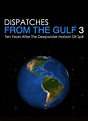 Dispatches from the Gulf 3: Ten Years After Deepwater Horizon Movie ...