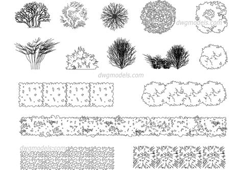 Autocad Trees And Shrubs Download Autocad