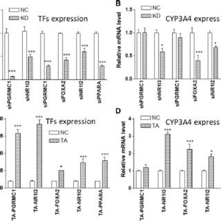 Effects Of Gene Kd Using Shrna Or Sirna A And B Or Crispr Mediated