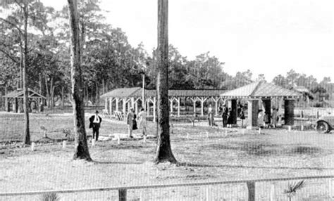 Florida Memory Pavilion And Picnic Area At Panacea Mineral Springs
