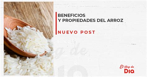 5 Propiedades Del Arroz Blog De Dia