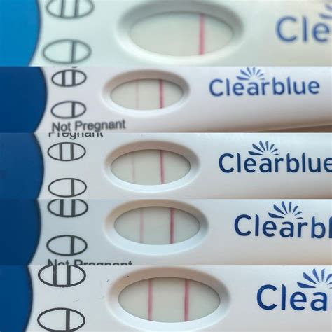Brand Clearblue Frer And Easyhome 10 14dpo Progression R