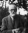 Listening To Freud: Sometimes A Voice Is More Than Just A Voice : 13.7 ...