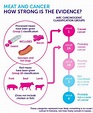 Processed meat and cancer link: Three charts that explain everything ...