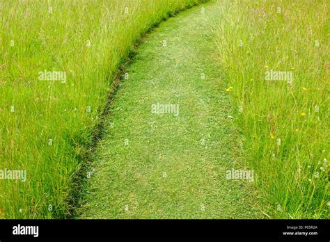Pathway Cut Through Long Grass In Garden Norfolk England Stock Photo