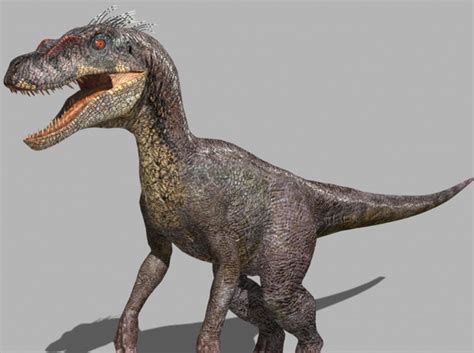 3d Model Velociraptor Jurassic Park Velociraptor Jurassic Park