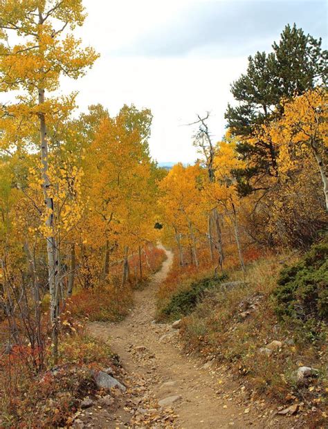This Just Might Be The Most Beautiful Fall Hike Near Denver Fall Hiking