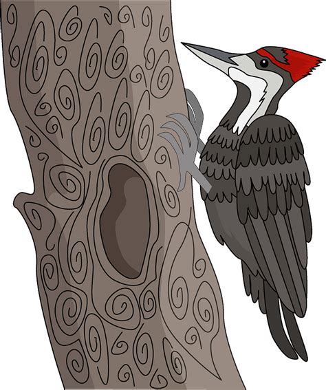 Woodpecker Clipart Free Download Transparent Png Creazilla