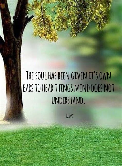 Rumi quotes on life , rumi quotes on death : Soul talk #rumi #rumiquotes #quotes #journey #life # ...