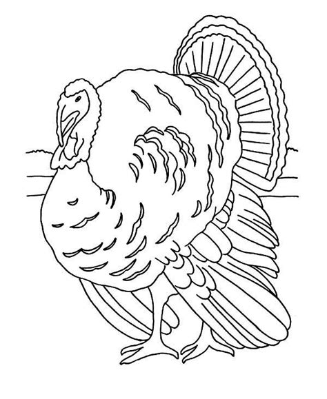 Realistic Thanksgiving Day Turkey Lineart Coloring Page - Download