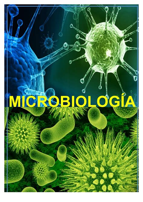 Microbiología Qué Es Importancia Plan De Estudios Y Más